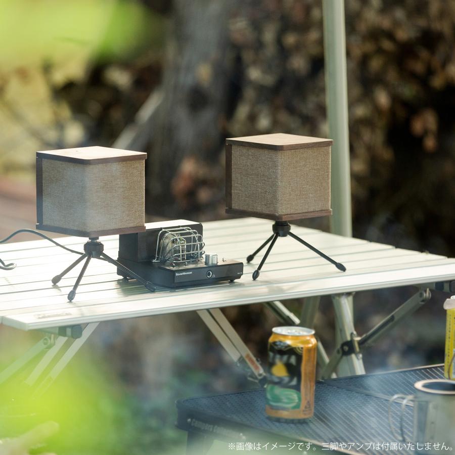 SOUNDWARRIOR SW-SP2 キューブ型 スピーカー 1Way＋パッシブ