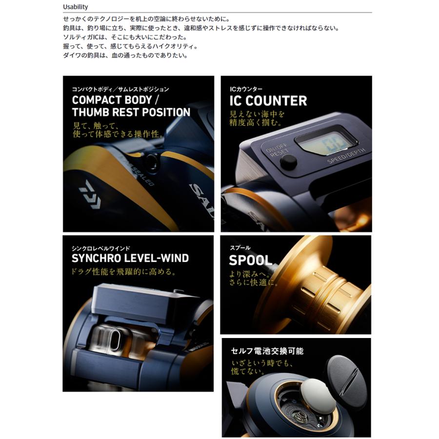 DAIWA（ダイワ） '21 SALTIGA IC(ソルティガ IC) 300-DH (右巻き