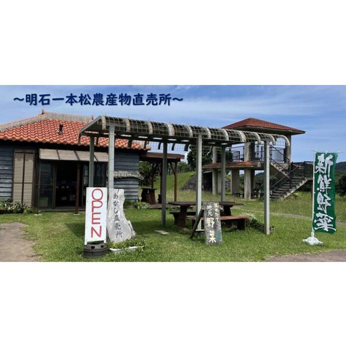 沖縄産 石垣島産 ティリーフ ティーリーフ ティ・リーフ ティー