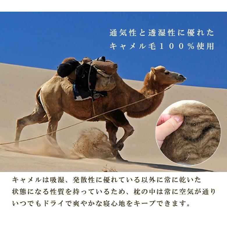 枕 イワタ キャメル枕 43×63cm 高さ3cm 日本製 キャメルピロー 国産