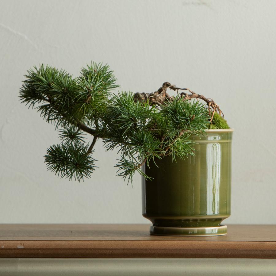 最短当日発送】 和モダン 日本製 植木鉢 受け皿付 10.5x11.5cm 3.5号 4