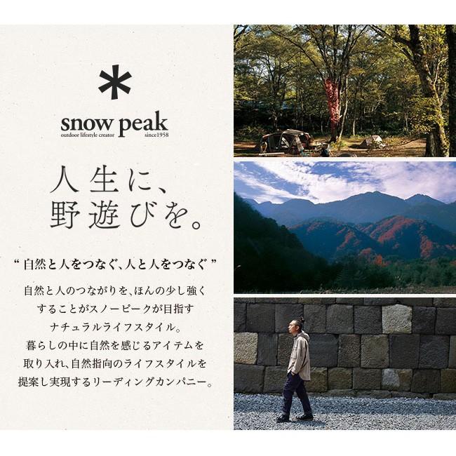 snow peak（スノーピーク） HDタープ シールド レクタ(M) Pro セット