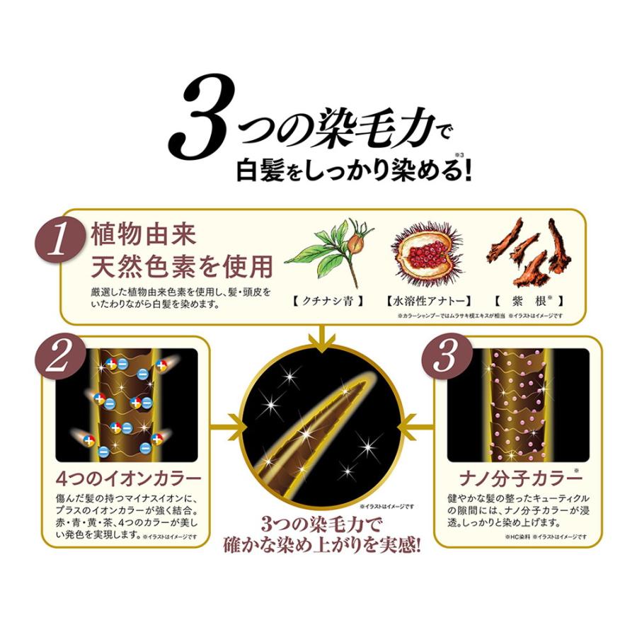 利尻 ピュール 利尻カラーシャンプー ダークブラウン : サンドラッグe