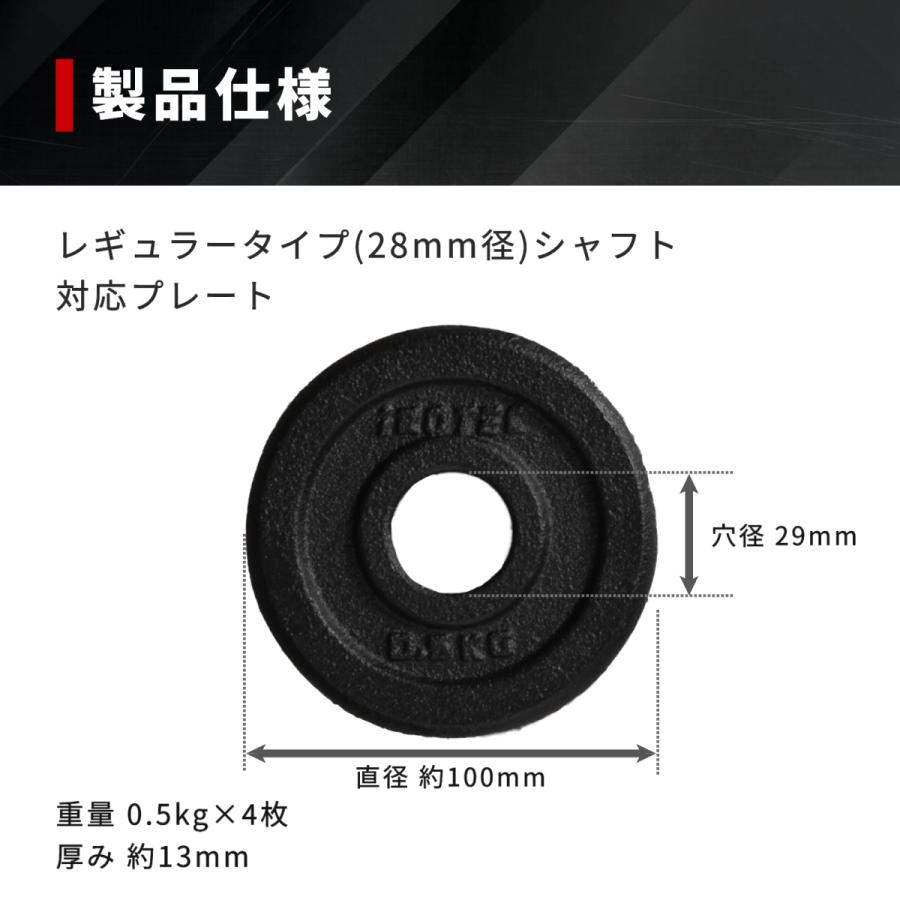 IROTEC（アイロテック） [2/25-3/1迄Pアップ] 500gプレート アイアン
