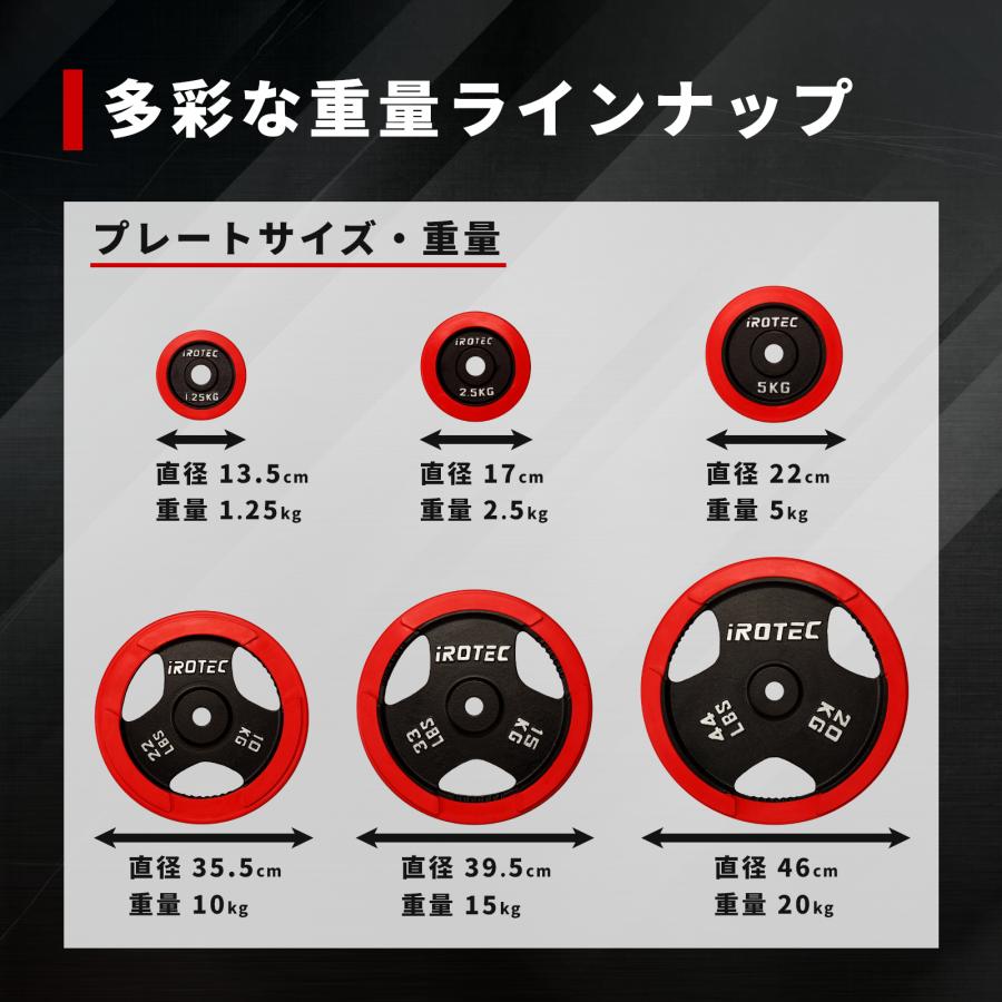 IROTEC（アイロテック） バーベル ラバープレート10KG [1枚] 穴径29mm