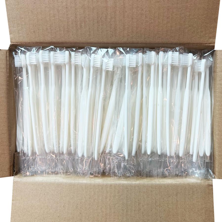 使い歯ブラシ 2400本 歯みがき粉なし 24穴 業務用 使い捨て
