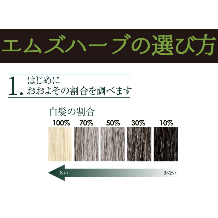10種類から選べるエムズヘナ＆ハーブ100g×2個セット 白髪染め 男性用