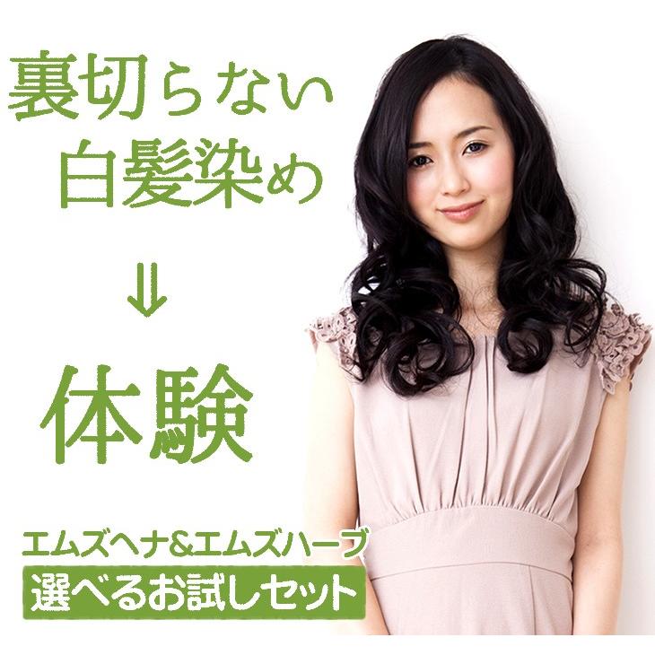 ヘナ 白髪染め 男性用 女性用 男女兼用 送料無料 お好きなエムズヘナ