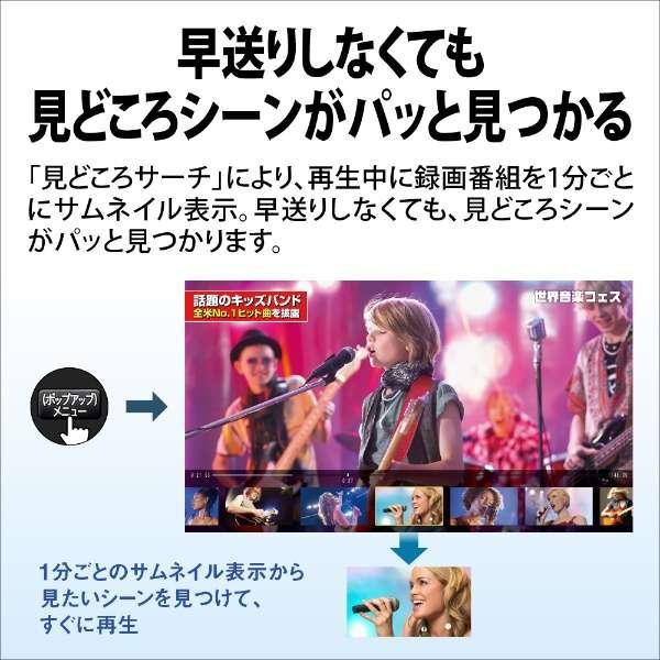 AQUOS シャープ SHARP 1TB 2番組同時録画 ダブルチューナー ブルーレイ