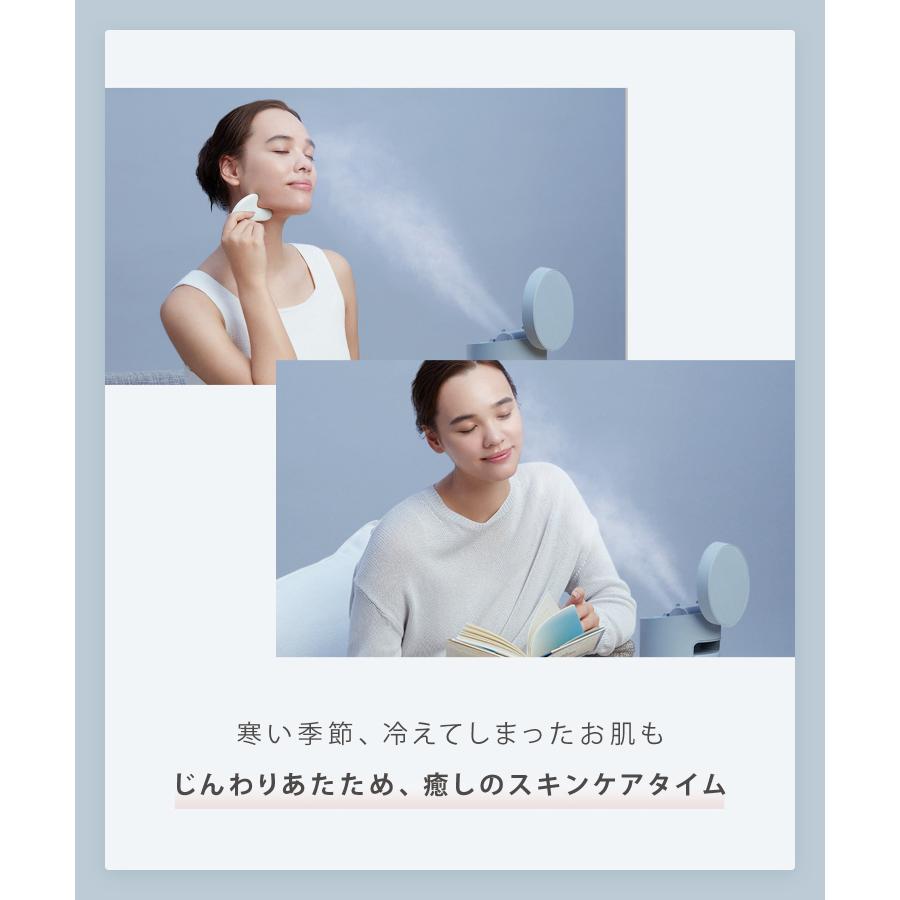 SALONIA（サロニア） スチーマー 美顔器 ピュアブライト スチーマー