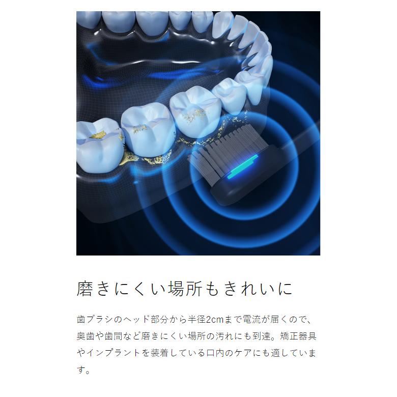 PLAQLES TROMATZ WAVE ］特典付 歯ブラシ 歯垢除去 虫歯予防 口臭予防