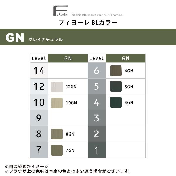 FIOLE（フィヨーレ） BLカラー 第1剤 グレイナ チュラル 120g|カラー剤