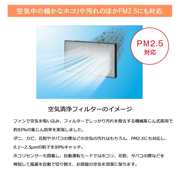 Wiz（リンナイ） リンナイ RC-B5801ACP-13A ガスファンヒーター Wiz