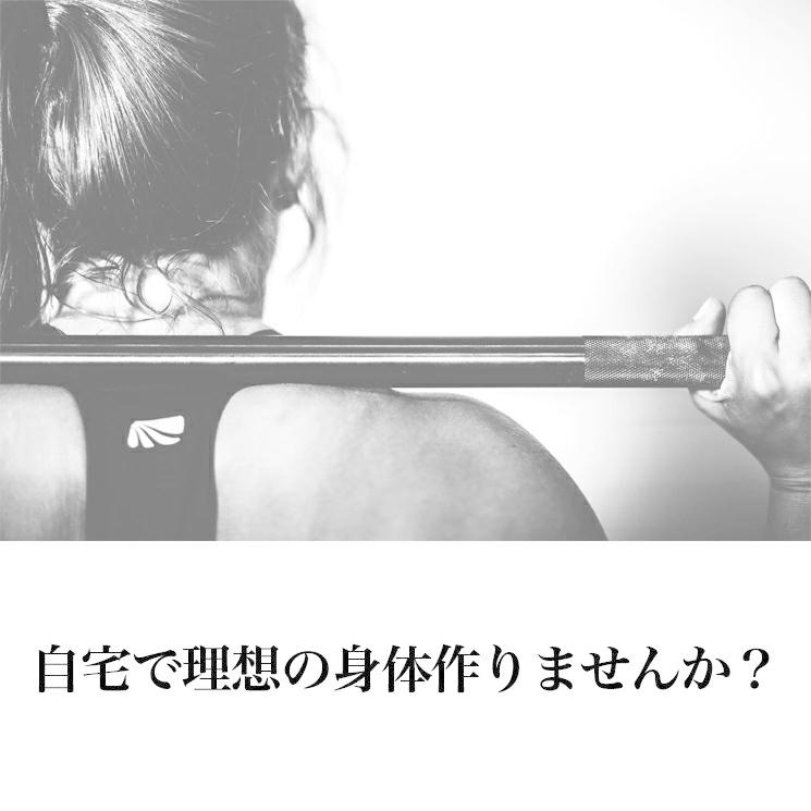 公式販売店 ファイティングロード バーベルセット 70kg プレート 10枚