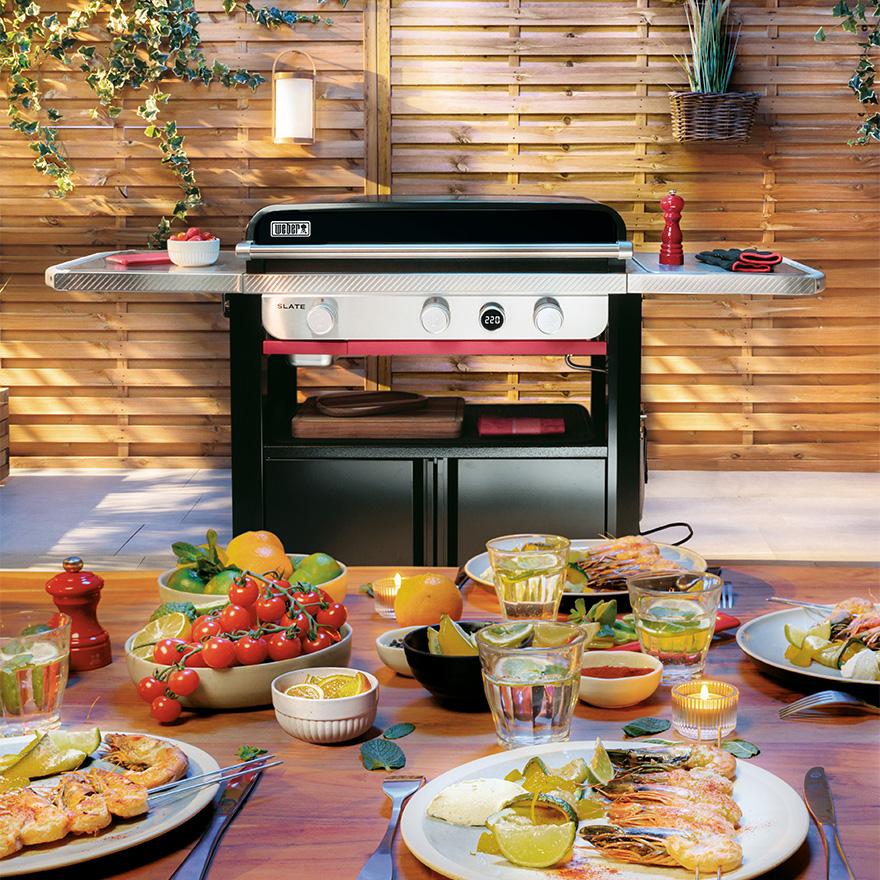 WEBER（ウェーバー） 【Weber公式】 バーベキュー Slate ( スレート