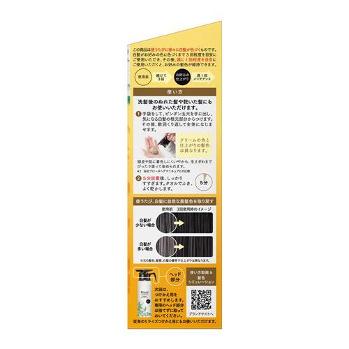 Kao（花王） 《セット販売》 リライズ 白髪用髪色サーバー リ