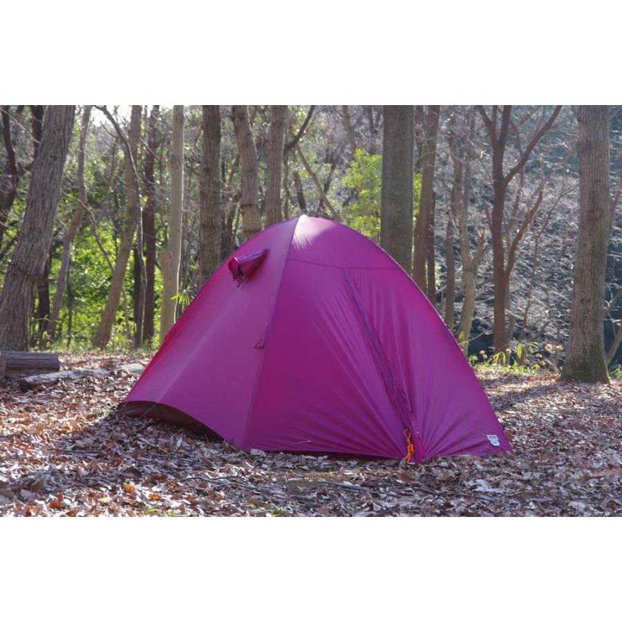 ARAI TENT（アライテント） 【 WILD-1 別注 】アライテント エアライズ