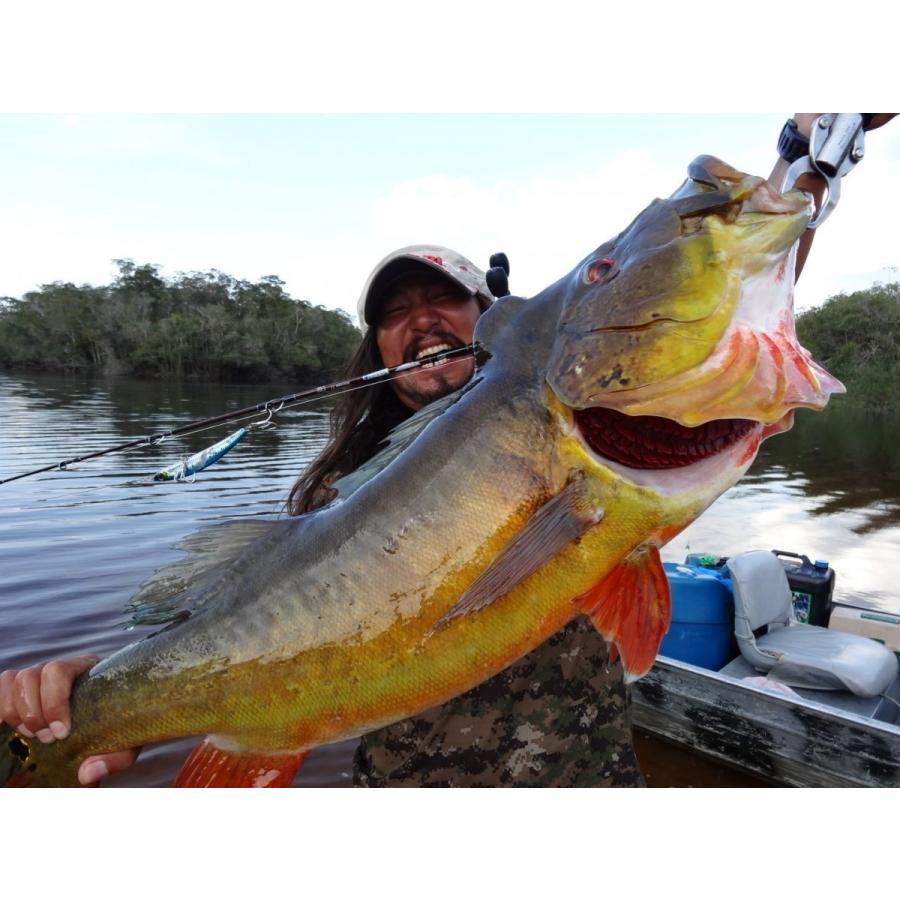 TULALA ボンバダアグア X ツララ モレーナ MORENA53 : ウインズヤフー