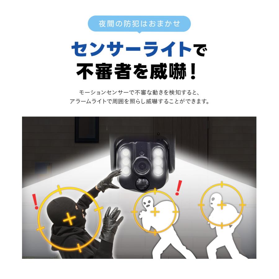 WTW 塚本無線 防犯カメラ 防犯カメラ アンテナ内蔵 1インチ 300万画素