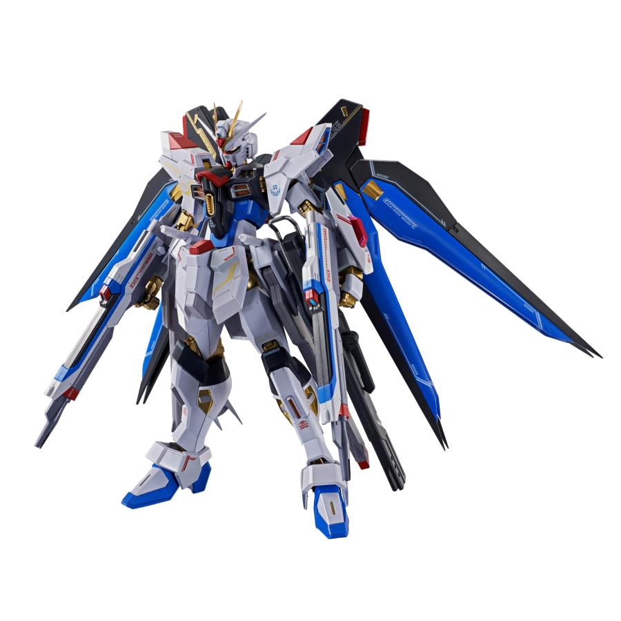 ガンダム METAL ROBOT魂 機動戦士ガンダムSEED FREEDOM ＜SIDE MS