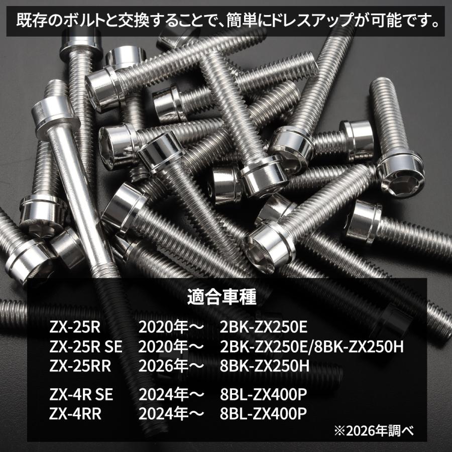 TECHーMASTER（テックマスター） ニンジャ ZX-25R/4R Ninja エンジン