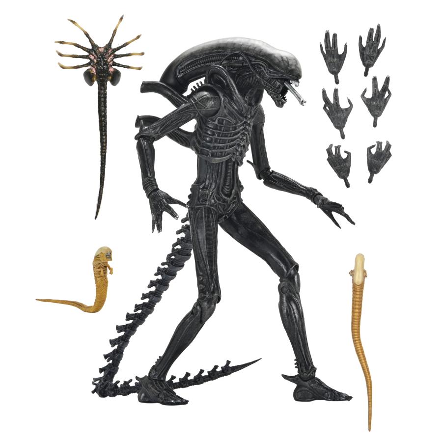 NECA ネカ エイリアン ロムルス ゼノモーフXX121 アルティメット 7