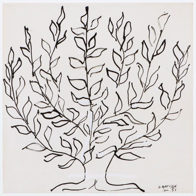 アンリ マティス 「 プラタナスの木 」 縦52×横52cm モダンアート