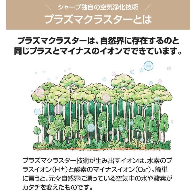 エアコン 6畳 工事費込 6畳用 プラズマクラスター搭載モデル エアコン