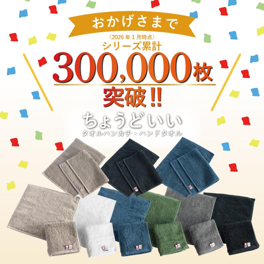今治タオル（imabari towel） タオルハンカチ 今治 6枚セット 個包装