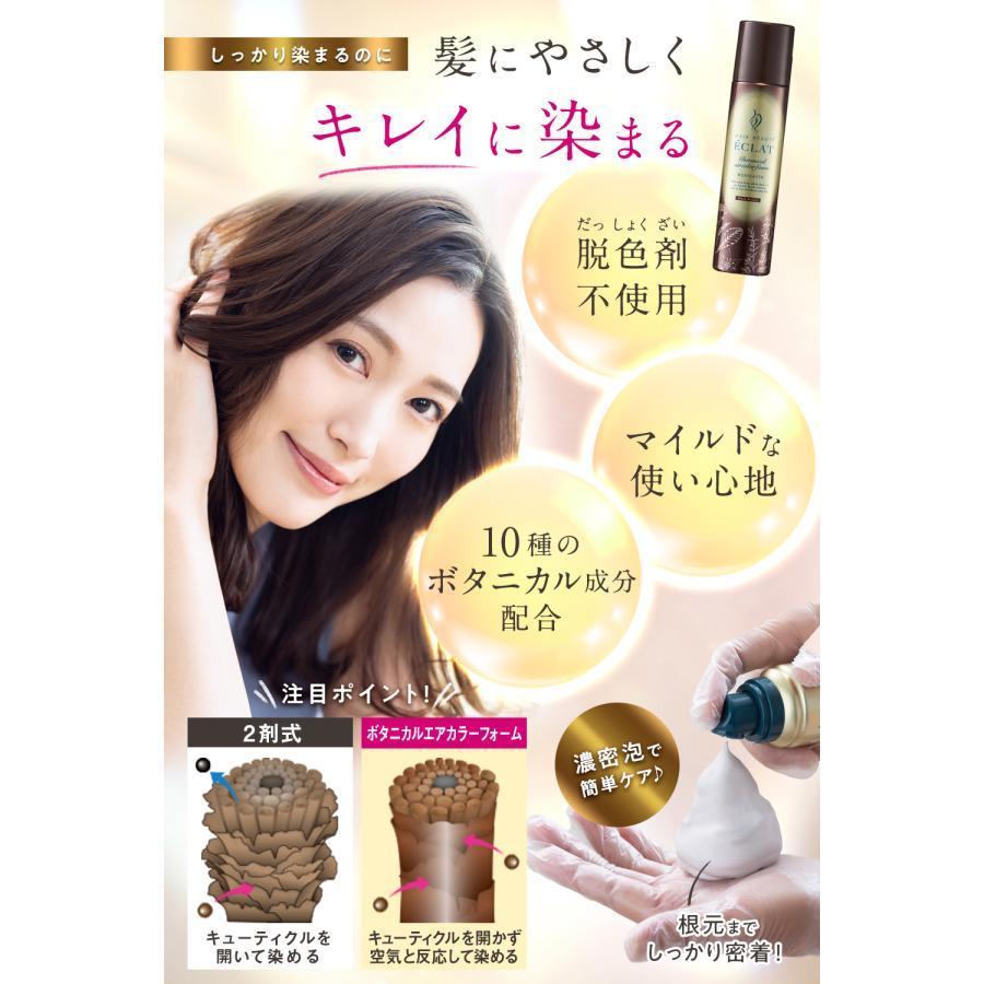 HAIR BEAUTE ECLAT 白髪染め リタッチ 全体染め 部分染め ヘアカラー