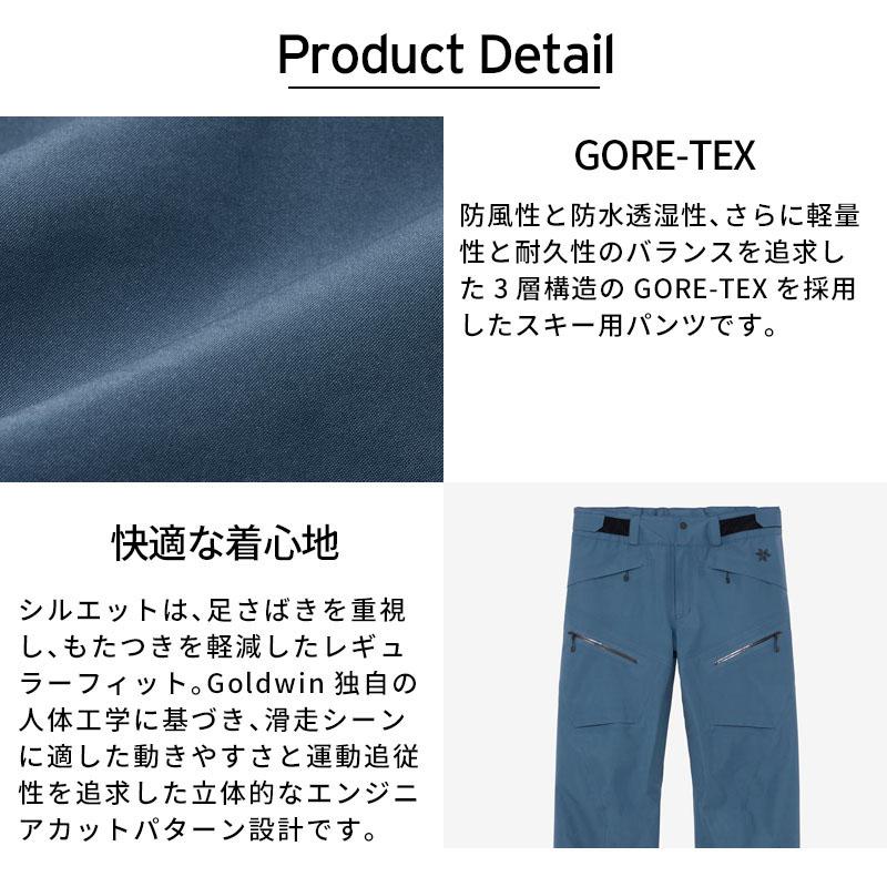 GOLDWIN（ゴールドウイン） 【エントリーでP最大17倍！27日〜】スキー