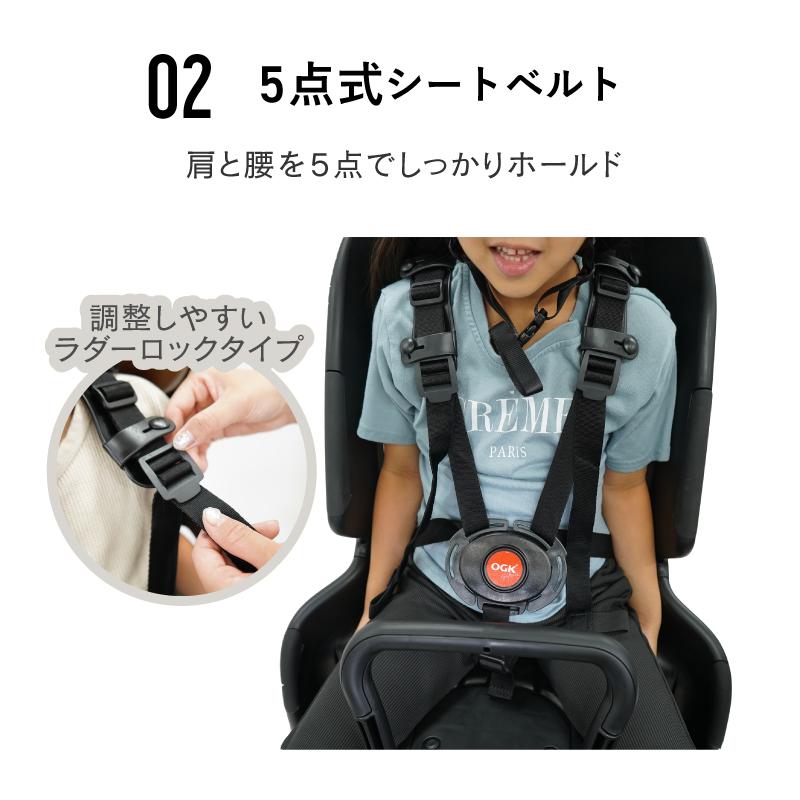 OGK技研（オージーケーギケン） OGK RBC-011DX5(RBC-011DX3