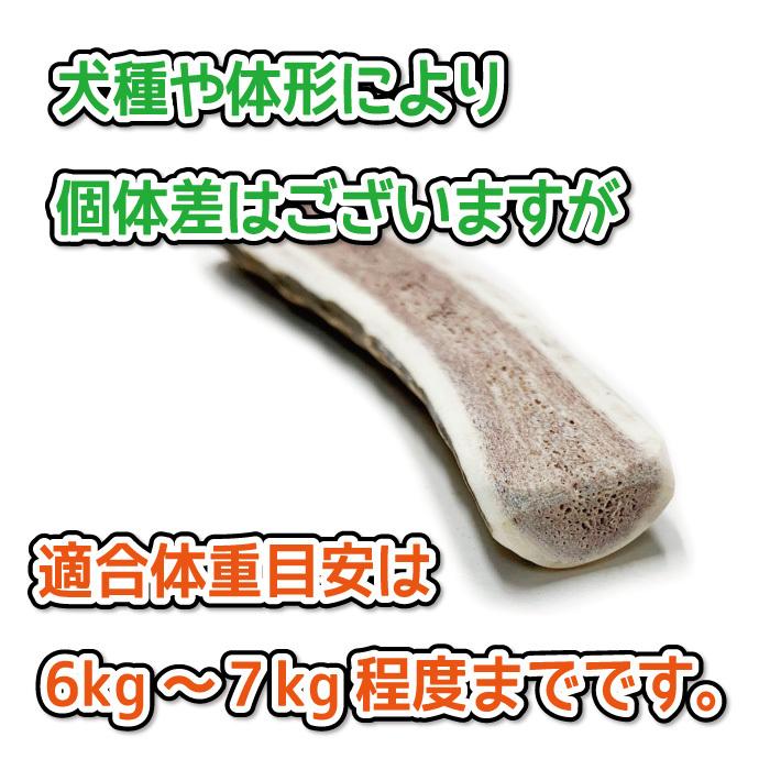鹿の角 小型 犬 用 鹿角さん 半割り 2本セット 天然 無添加 北海道産