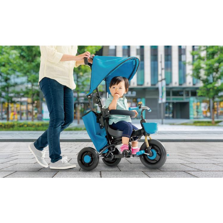 ides（アイデス） 4523256031087 コンポフィット2 シトロン 3108