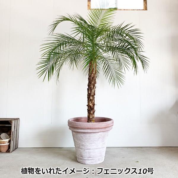 テラコッタ風 鉢カバー イタリア製 10号鉢がすっぽり 樹脂製鉢 軽量