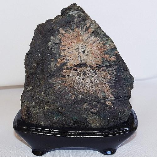 theory xyz 菊花石 岐阜県根尾産 純国産 サバ菊 ミニ : theory xyz