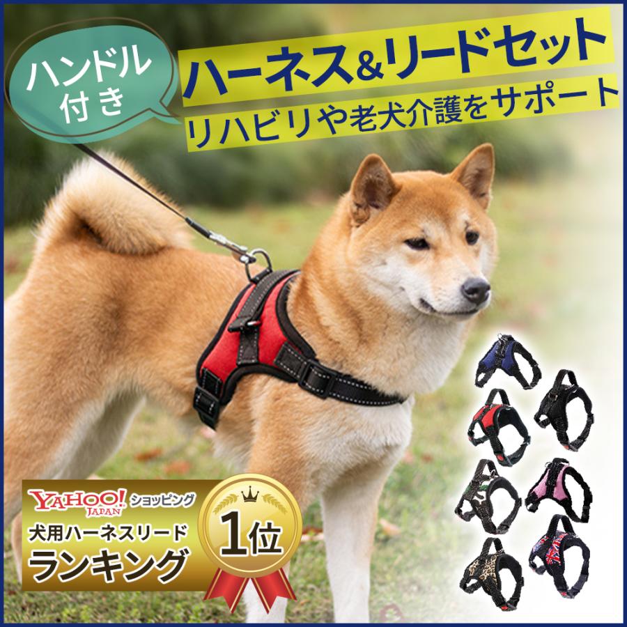 犬 ハーネス リードセット おしゃれ 小型犬 脱げない 中型犬 リード