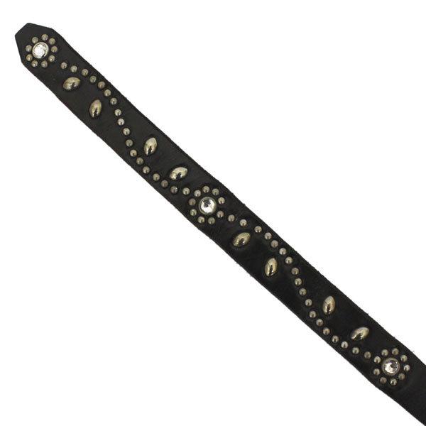 ハリウッドトレーディングカンパニー HTC(Hollywood trading Company