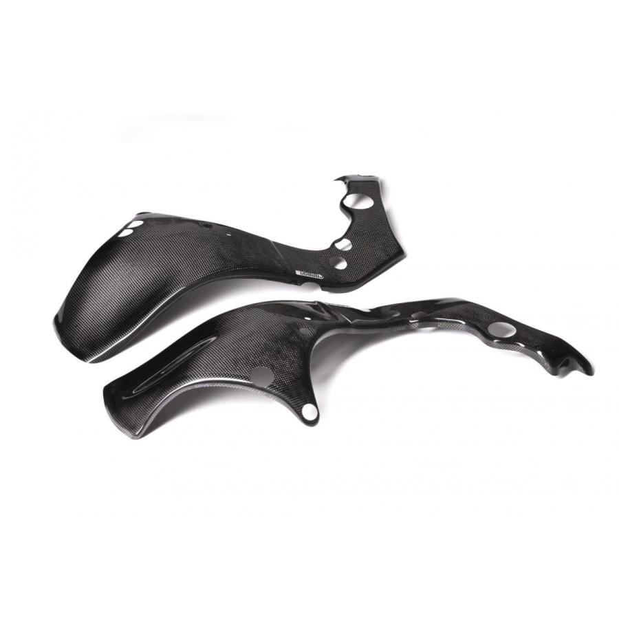 Kawasaki ZX-10R 16-22年 カーボンフレームカバー 左右セット : 輸入