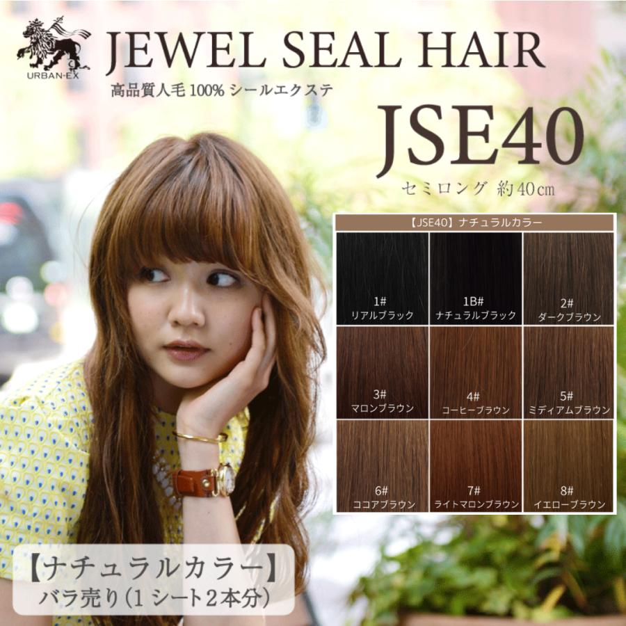 シールエクステ 約43cm 1シート(2本分) ナチュラルカラー 人毛