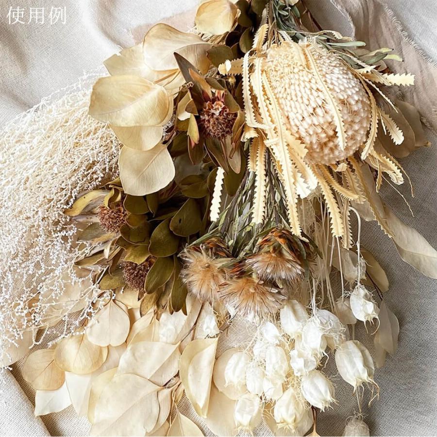 ドライフラワー 花材 即日出荷 ポプルス サラシ 葉 リーフ スワッグ