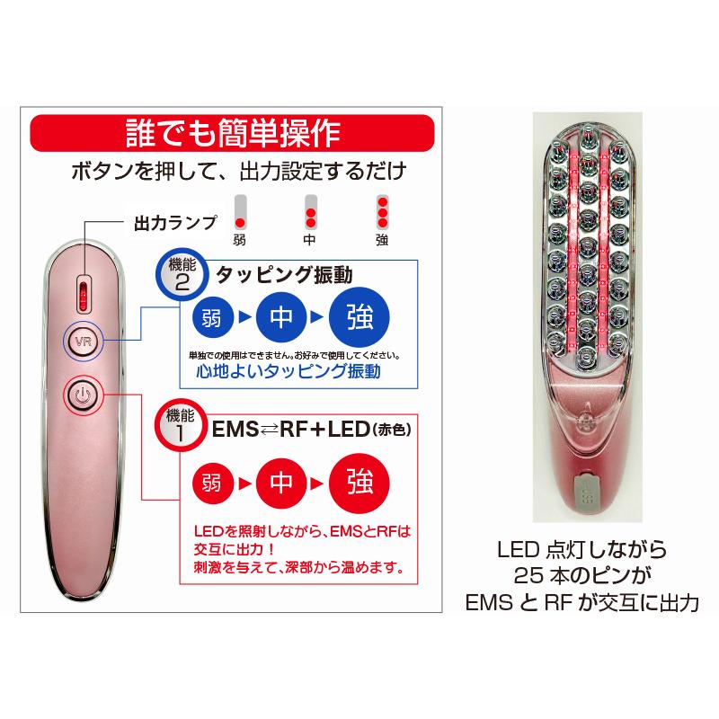 EMS＆RF スカルプ リフトケアブラシ EMS ラジオ波 電気ブラシ 頭皮 顔