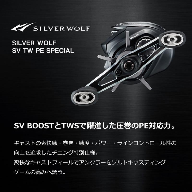 DAIWA（ダイワ） シルバーウルフ SV TW 1000XHL PE SPECIAL / チニング