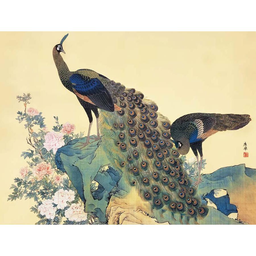 円山応挙 牡丹孔雀図 （F6サイズ）（紐・フック付） 日本の名画 約横52