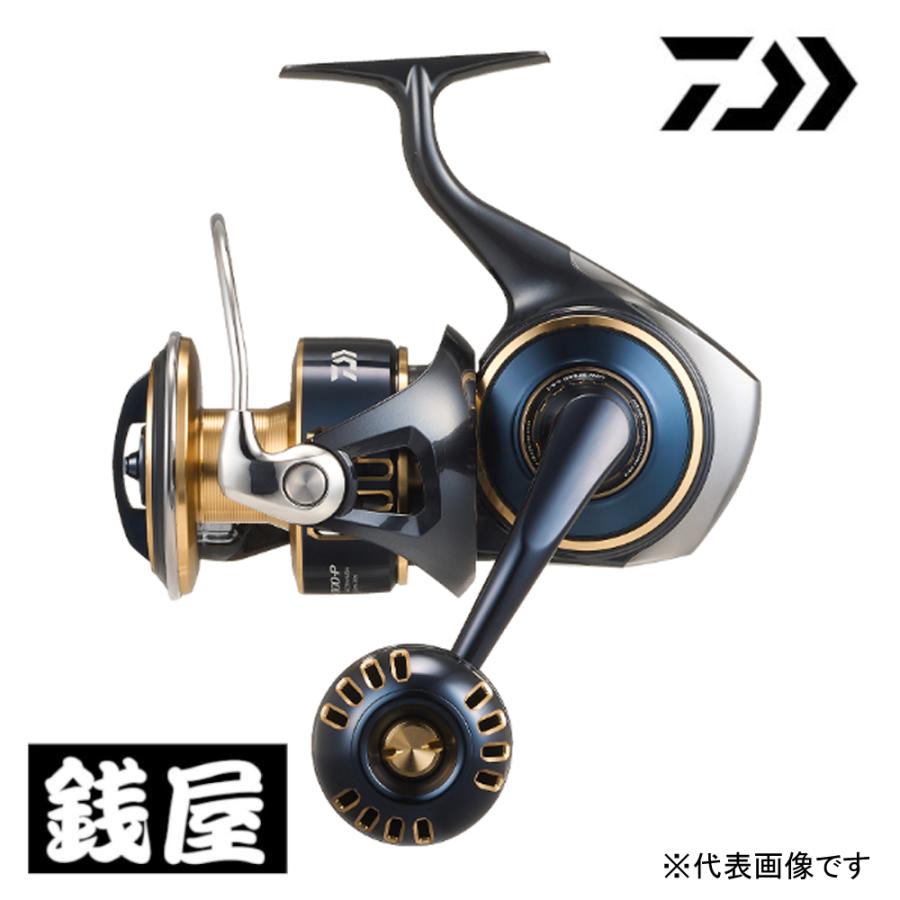 DAIWA（ダイワ） 25 ソルティガ 8000-P 送料無料 : つり具の銭屋