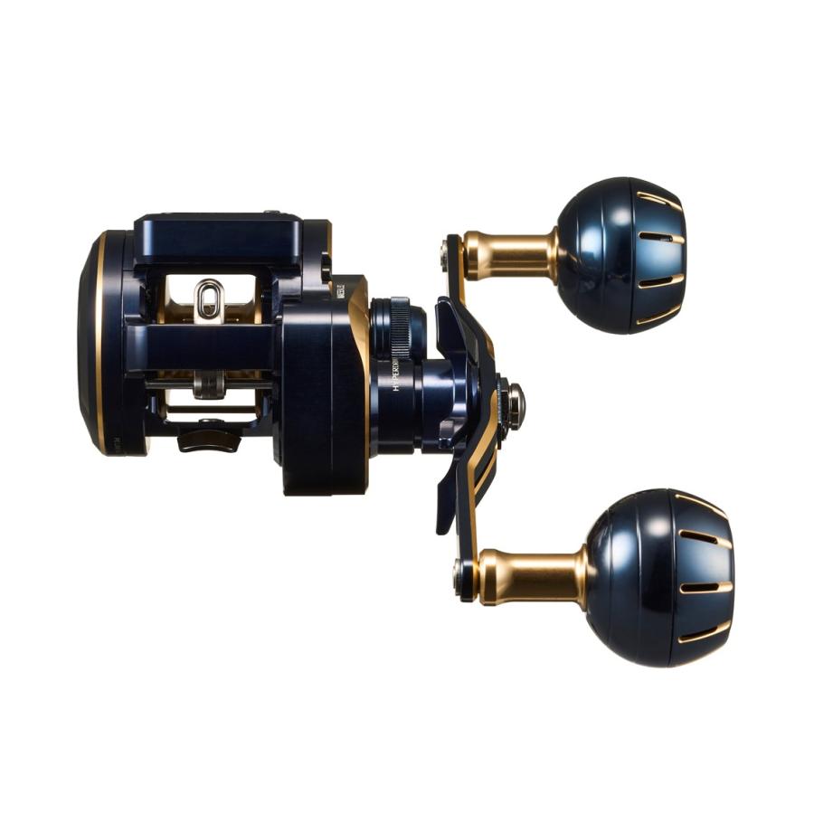 DAIWA（ダイワ） ソルティガIC 100HL-DH : つり具の銭屋 - 通販