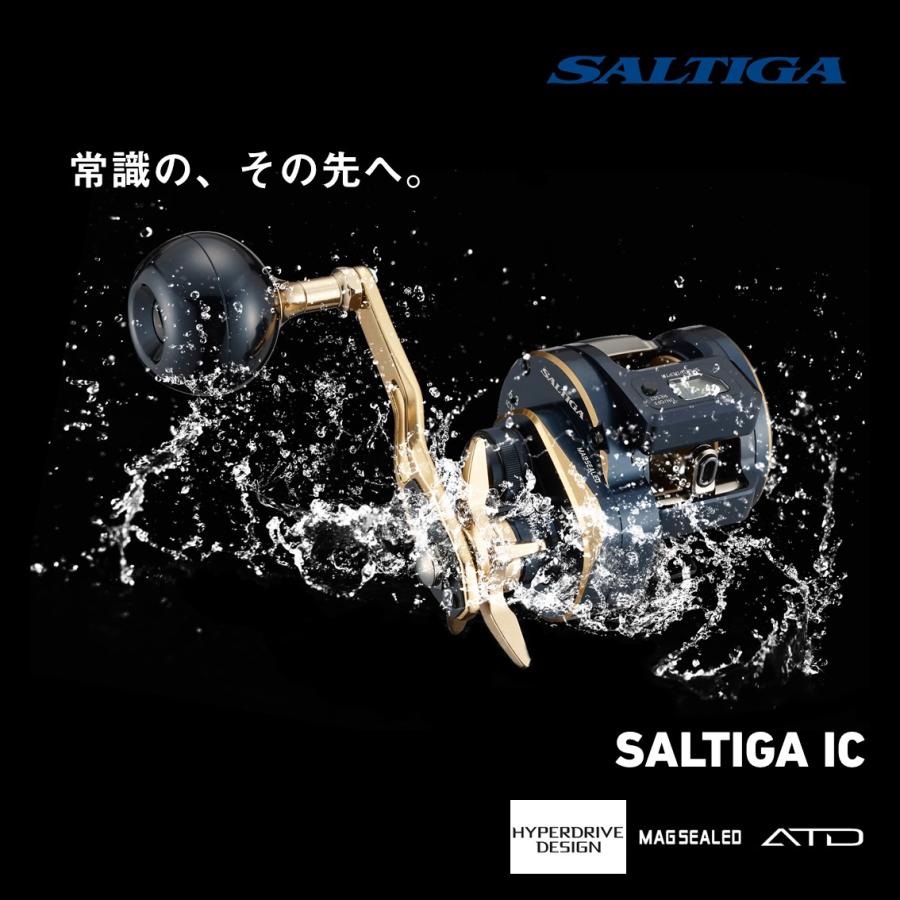 DAIWA（ダイワ） ソルティガIC 100HL-DH : つり具の銭屋 - 通販