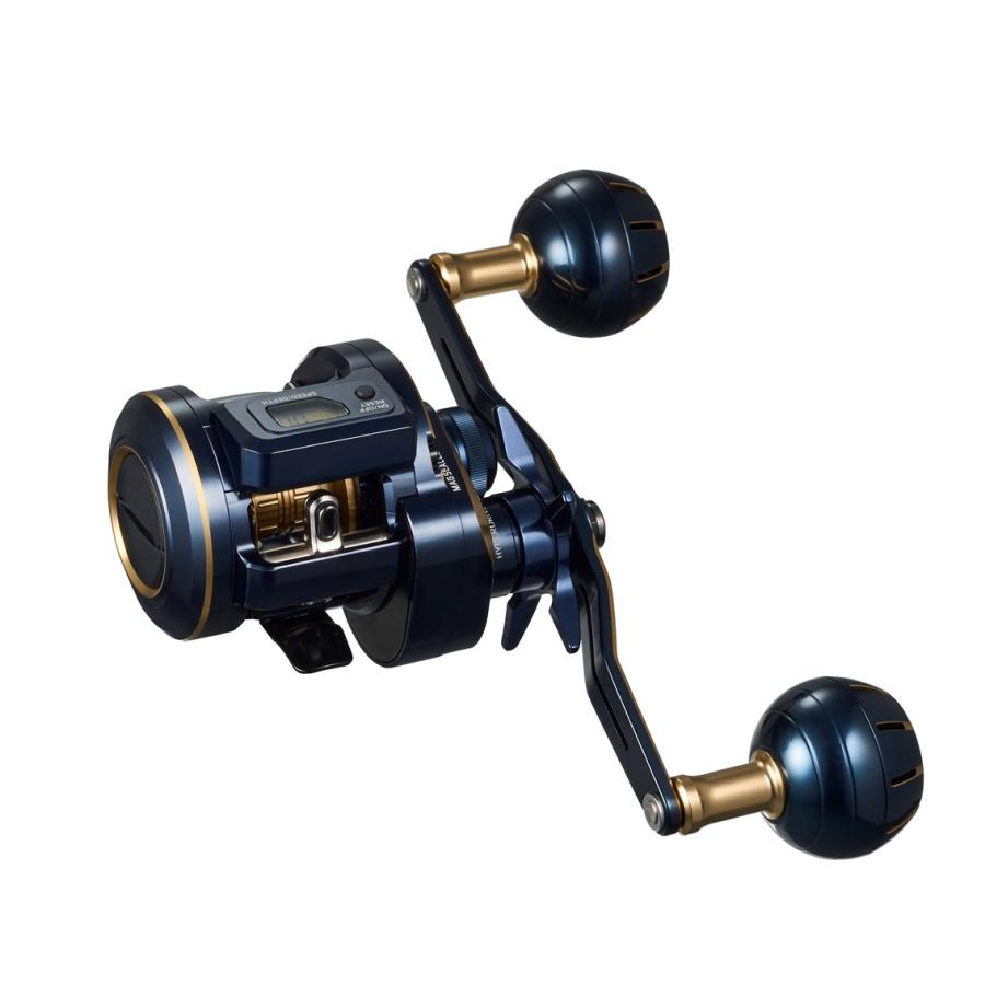 DAIWA（ダイワ） ソルティガIC 100HL-DH : つり具の銭屋 - 通販