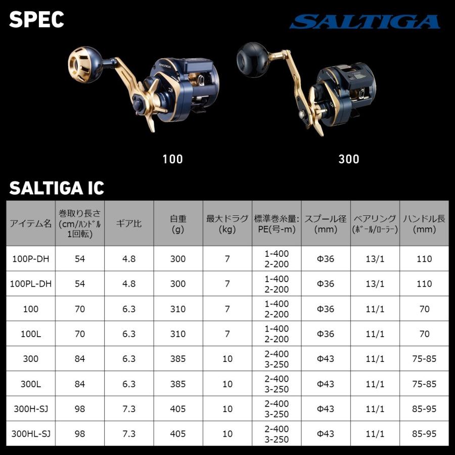 DAIWA（ダイワ） 21ソルティガ IC 300H-SJ カウンター付リール