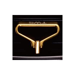 DAIWA（ダイワ） スティーズ A TW 1016-CC / STEEZ A TW ベイトリール